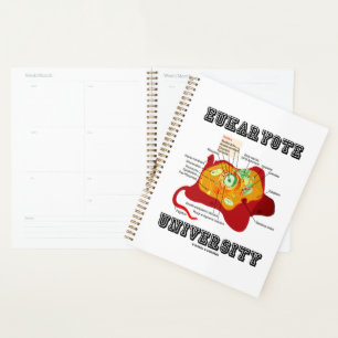 Eukaryote University Animal Cell Anatomy Planner