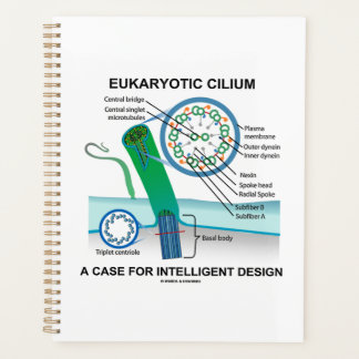 Eukaryotic Cilium A Case For Intelligent Design Planner