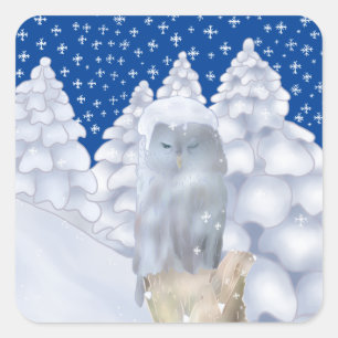 Eule im Schnee   Square Sticker