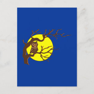 Eule owl postcard