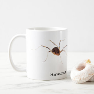 Eumesosoma roeweri Harvestman Mug
