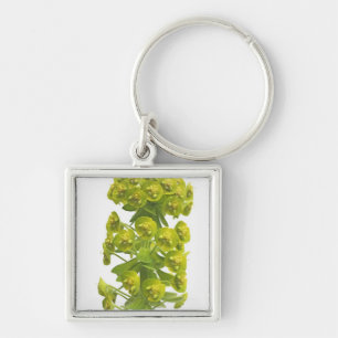 Euphorbia Key Ring