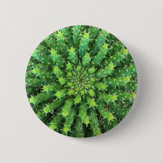 Euphorbia Medusa Green Cactus Succulent 6 Cm Round Badge (Front)