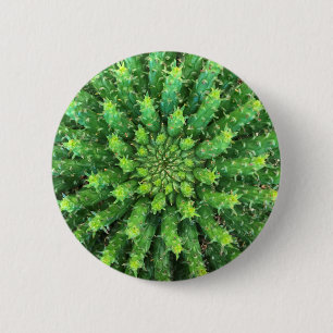 Euphorbia Medusa Green Cactus Succulent 6 Cm Round Badge