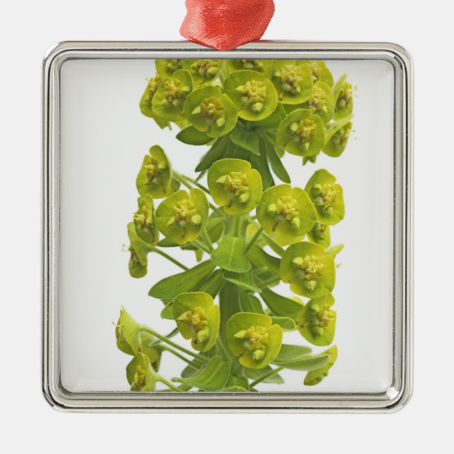 Euphorbia Metal Tree Decoration (Front)