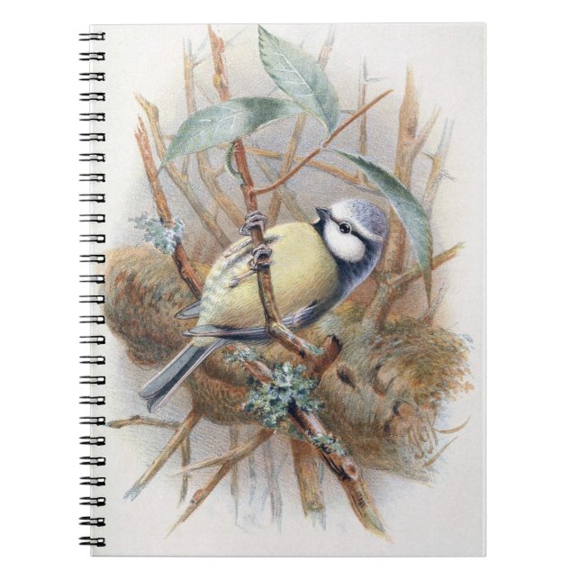 Eurasian Blue Bird Note Book (Front)