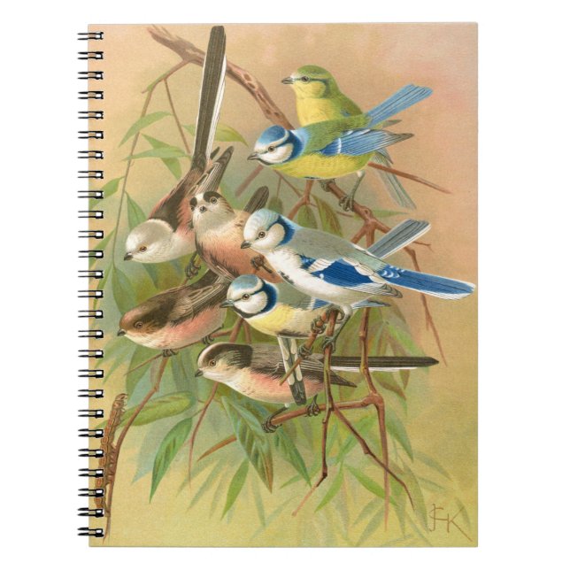 Eurasian blue tit and long-tailed tit, Birds Notebook (Front)