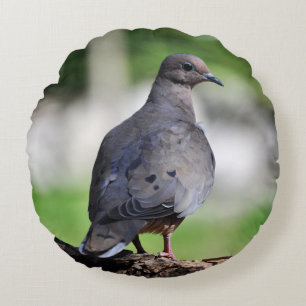 Eurasian collared dove or turtle dove round cushion