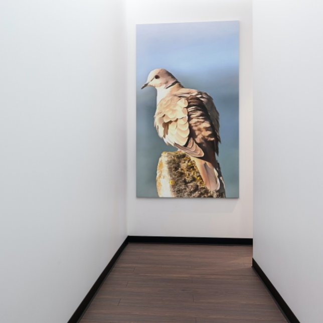 Eurasian Collared Dove Wildlife Art Canvas Print (Creator Uploaded)
