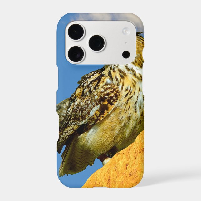 Eurasian eagle owl (Back)