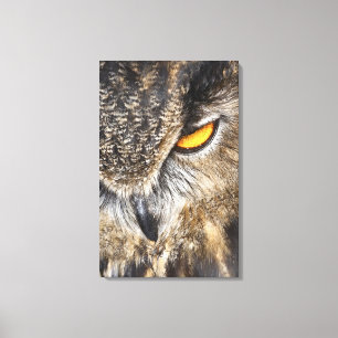 Eurasian Eagle Owl (Bubo bubo) Canvas Print