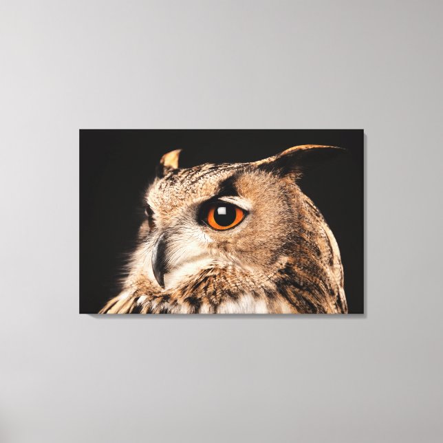 Eurasian Eagle Owl Canvas Print (Front)