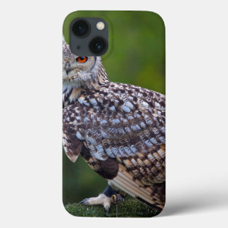 Eurasian Eagle Owl iPad Case