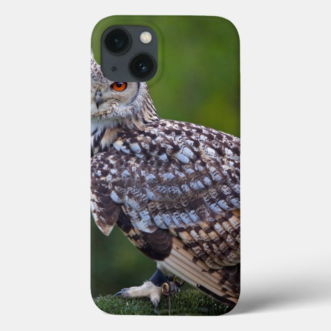 Eurasian Eagle Owl iPad Case (Back)