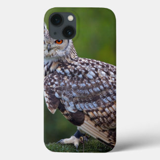 Eurasian Eagle Owl iPad Mini Case