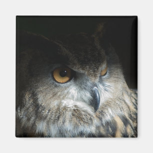 Eurasian Eagle Owl Magnet