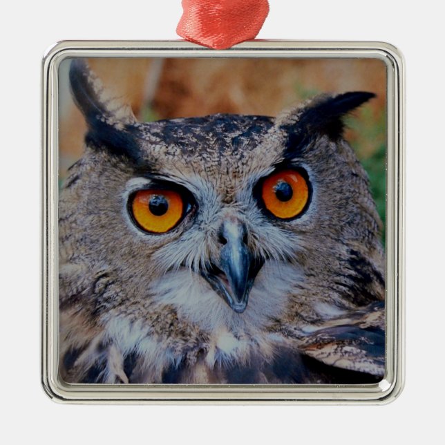 Eurasian Eagle Owl Metal Tree Decoration (Front)