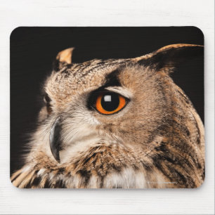 Eurasian Eagle Owl Mouse Mat