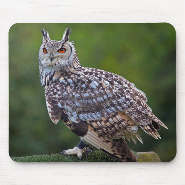 Eurasian Eagle Owl Mousemat (Front)