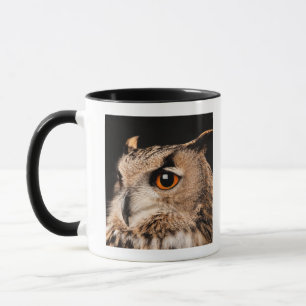 Eurasian Eagle Owl Mug