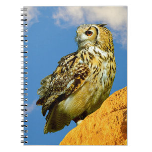Eurasian eagle owl notebook