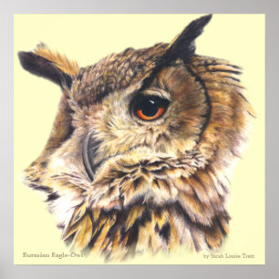 Eurasian Eagle Owl Ornithological fine art poster