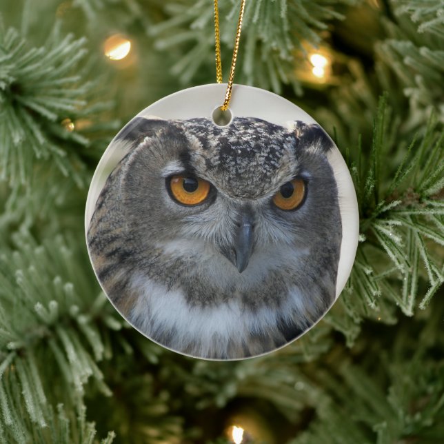 Eurasian Eagle Owl Photo Ceramic Tree Decoration (Tree)