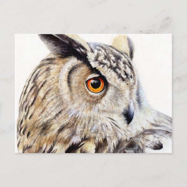 Eurasian Eagle Owl side art watercolor postcard (Front)