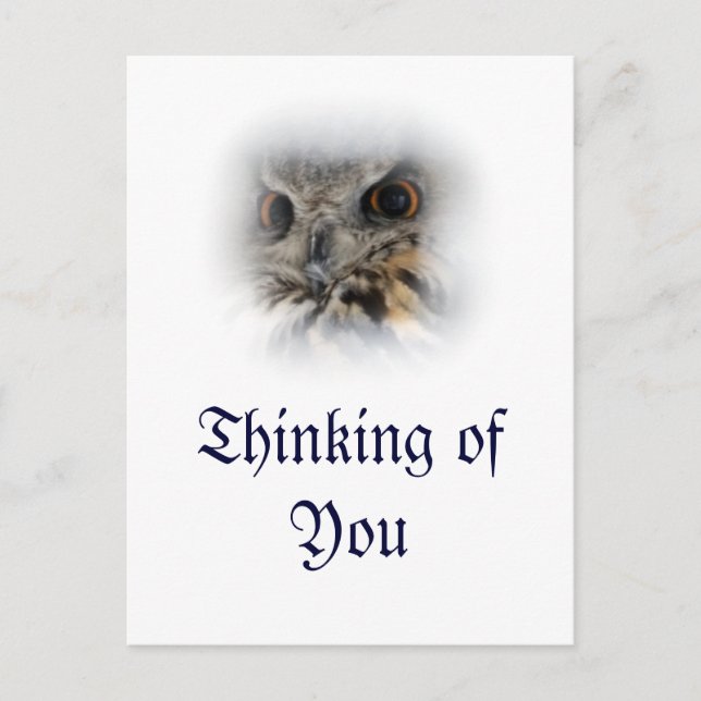 Eurasian Eagle-owl Thinking of You Postcard (Front)