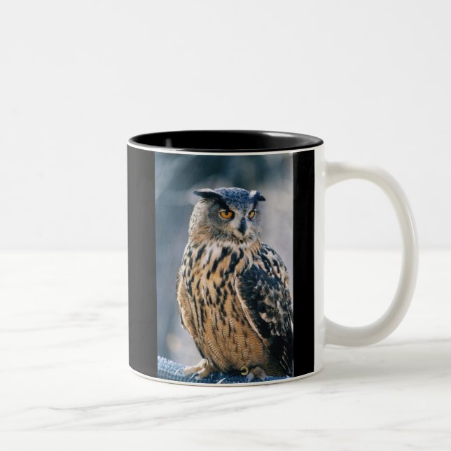 Eurasian Eagle Owl Two-Tone Coffee Mug (Right)