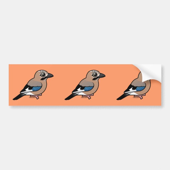 Eurasian Jay Bumper Sticker (Front)