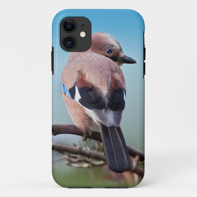 Eurasian Jay iPhone 5 Case (Back)