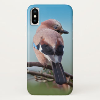 Eurasian Jay iPhone X Case