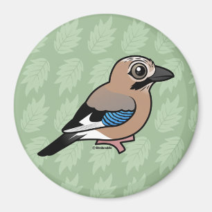 Eurasian Jay Magnet