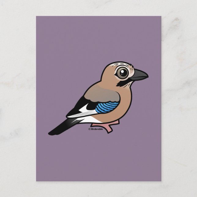 Eurasian Jay Postcard (Front)