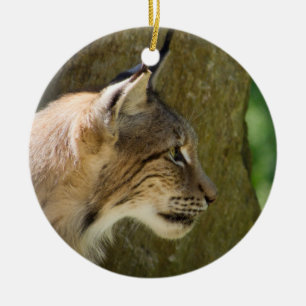 Eurasian Lynx Ceramic Tree Decoration