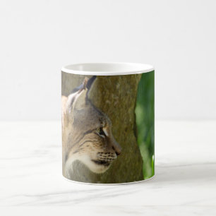 Eurasian Lynx Coffee Mug