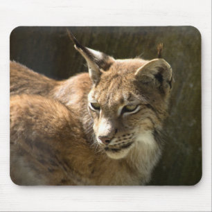 Eurasian Lynx Mouse Mat