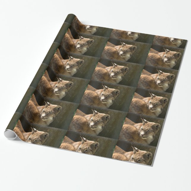 Eurasian Lynx Wrapping Paper (Unrolled)