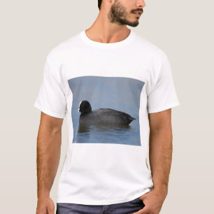 Eurasian or common coot, fulicula atra, portrait o T-Shirt