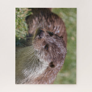 Eurasian Otter Resting in the Sunshine Jigsaw Puzzle