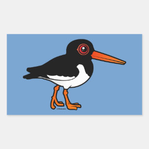 Eurasian Oystercatcher Rectangular Sticker