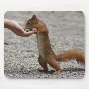 Eurasian red squirrel mouse mat