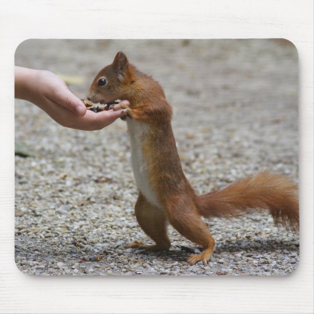 Eurasian red squirrel mouse mat (Front)