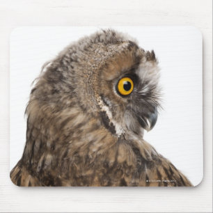 Eurasian Scops-owl - Otus scops (2 months old) Mouse Mat