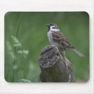 Eurasian Tree Sparrow Mouse Mat