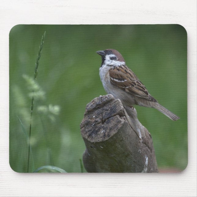 Eurasian Tree Sparrow Mouse Mat (Front)