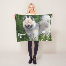 Eurasier Adorable Pet Dog Photo Stallion Sherpa