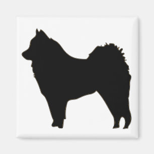 eurasier magnet
