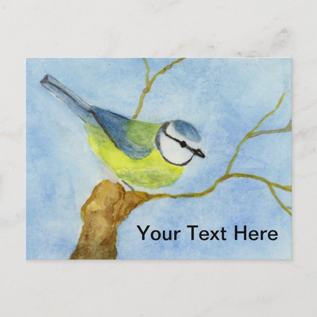 Eurasion Blue Tit Postcard (Front)